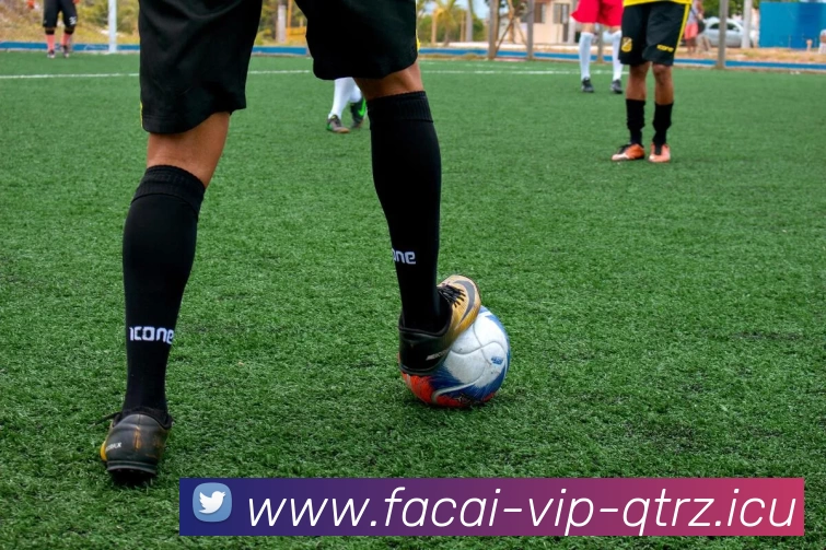 华体会体育注册平台生态图