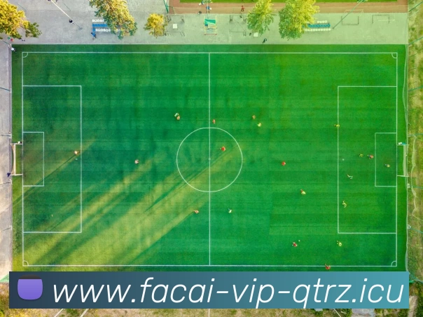 华体会体育注册APP 封面图